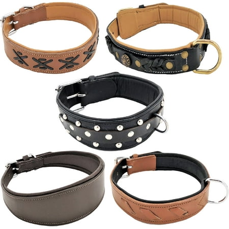 Soft Padded Genuine Leather Dog Collar for Medium and Large Breeds sz M: Neck 13