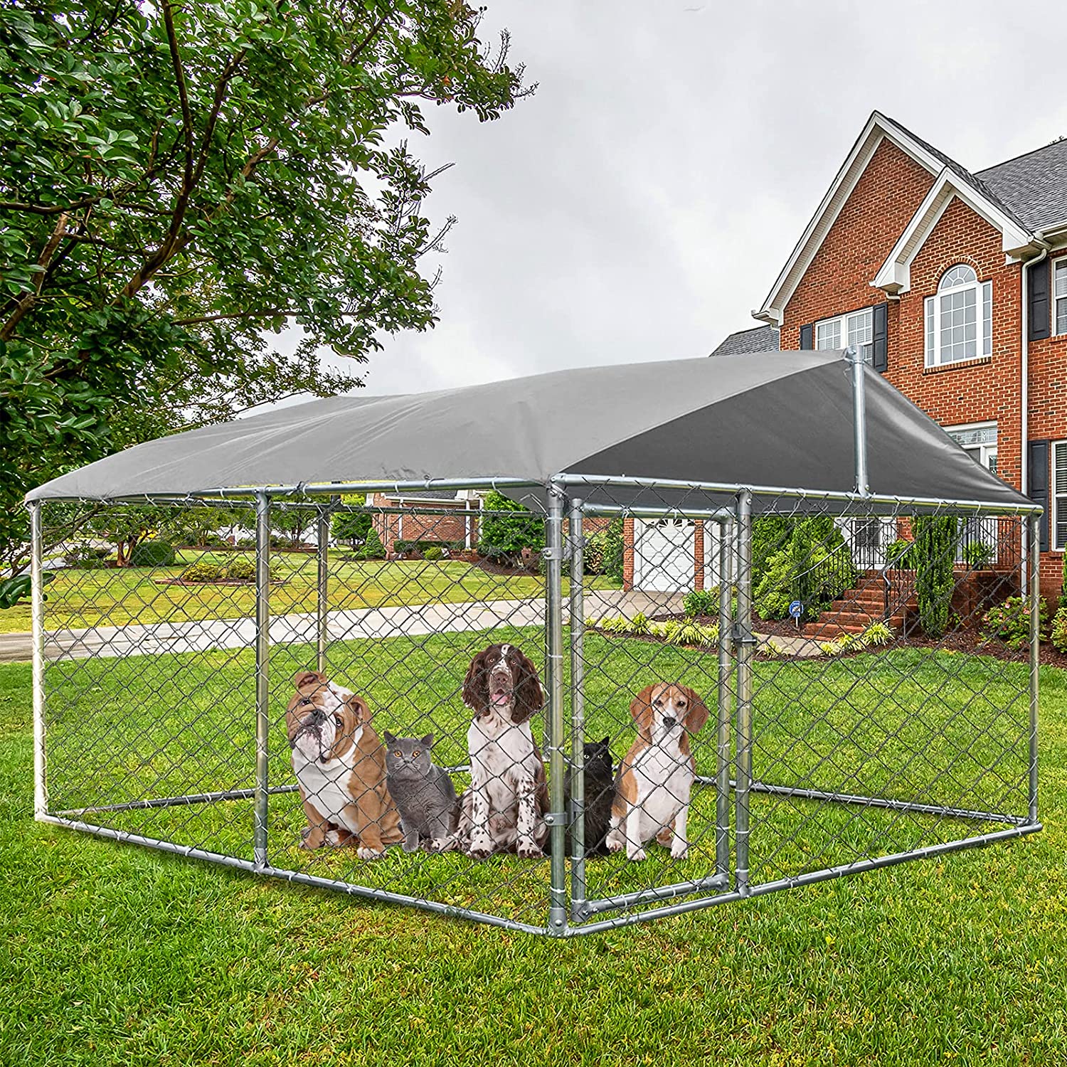 zulily dog tent