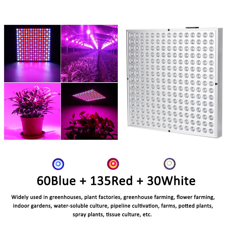 Vegetable Grow Lights Canada atelieryuwa.ciao.jp