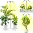 thumbnail image 1 of Luz de cultivo Yiyehu de espectro completo, 15-62", trípode ajustable, 1 of 7