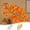 A33 home decor under 5$, variant on Usloyux Under $5 Lighted Maple Leaf Fall Decor,Thanksgiving Garland,Indoor Home Wall Table Fireplace Fall Harvest Thanksgiving Decorations