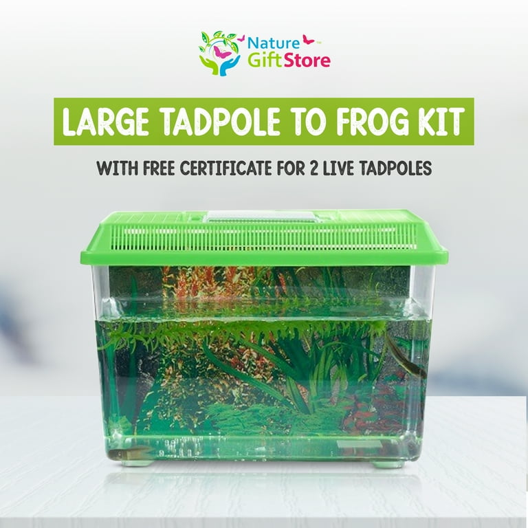 Frog Growing Kit: 2-Gallon Habitat with 2 FREE Tadpoles - Certificate to  Redeem