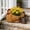 Gold, variant on Solar Light Chicken Planter - Hen Planter Cute Resin Flower Pot with Auto Light Sensing Solar Light for Outdoor Garden Backyard Patio (Brown)