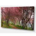 thumbnail image 2 of Sakura Fleurs Roses en Thaïlande, 2 of 3