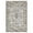 Brown, variant on Hasoo 5' x 7' Area Rug for Living Room Boho Vintage Rug Non Slip Throw Rugs Floral Bedroom Rug, Blue