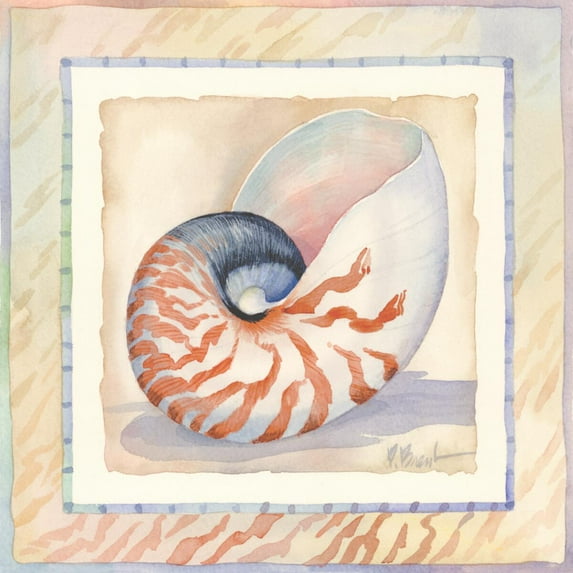 Tile Mural Kitchen Backsplash - Bordered Shell Nautilus - by Paul Brent