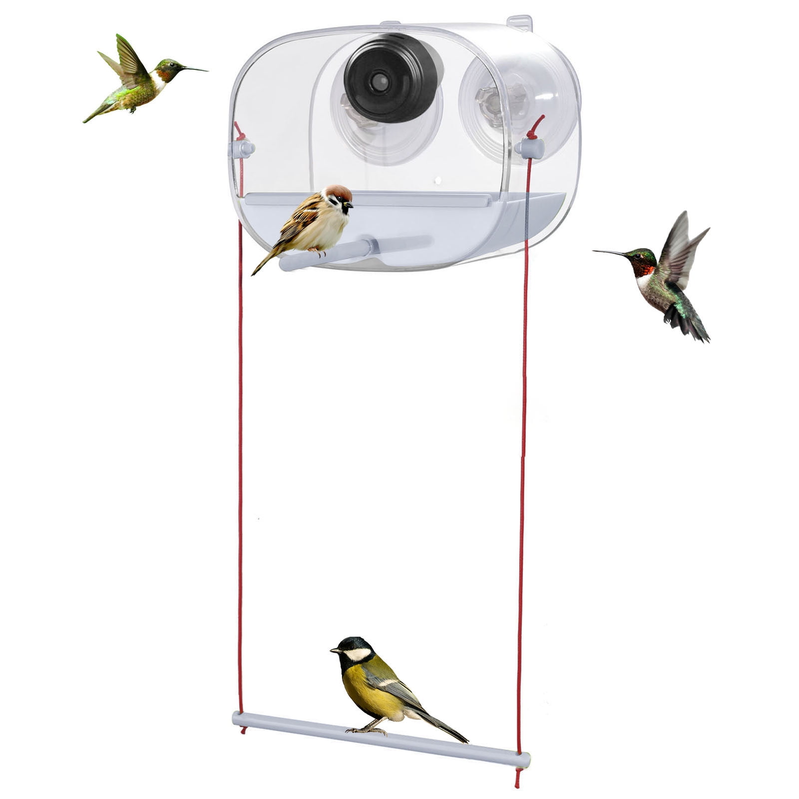 Smart Bird Feeder With Camera 1080P AI Recognition Instant Alerts Auto Video Recording Hummingbird Watching Device For Indoor Outdoor Bird Lovers