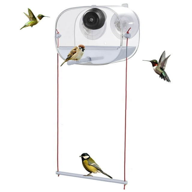Mangeoire Automatique pour Oiseaux avec Système Intelligent de Caméra Alertes 1080P AI Lecture Vidéo Instantanée Utilisation Intérieure Extérieure Familiale