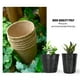 thumbnail image 4 of Macetas Ecológicas de Pulpa de Papel, Biodegradables y Compactas, Ideales para Cultivo de Flores y Plantas, 100 Piezas, Altura 6 cm, 4 of 6