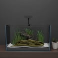 thumbnail image 2 of Rimless Low Iron Glass Fish Tank Aquarium - 45.8 gal (36.2 L x 18.1 W x 16.1 H) (in), 2 of 3