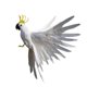 thumbnail image 3 of Pájaro con Plumas Artificiales, Adorno Decorativo para El Hogar, Jardín, Fotografía, Regalo de Navidad para Decoración de Jardín , 15.7 pulgadas blanco Colco Pájaro artificial, 3 of 4