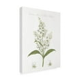 thumbnail image 2 of Trademark Fine Art 'Botany Book XI White Green' Canvas Art by Wild Apple Portfolio, 2 of 3