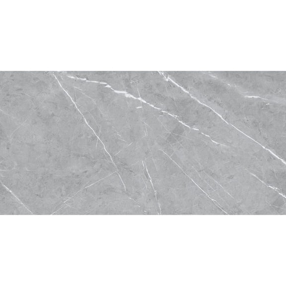 The Tile Life Chaplin Gray Matte Porcelain Floor & Wall Tile, 12x24 in, 8-Piece