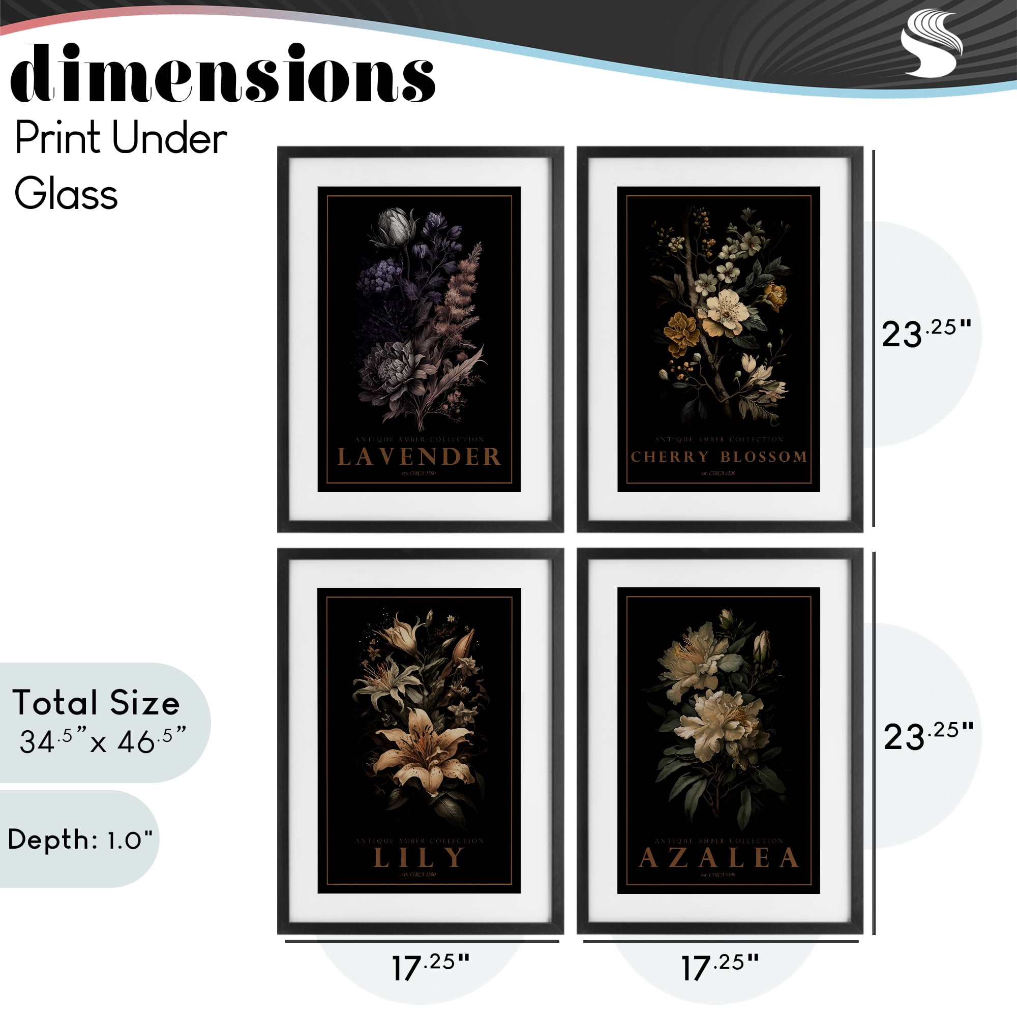 Stupell Industries Antique Varied Botanical Blooms 4 Piece Black Framed Print Under Glass Set, design by Chris Giampietro