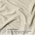 thumbnail image 4 of Bare Home Pillow Sham Set - Premium 1800 Collection - Double Brushed - Euro, Sand, 4 of 9