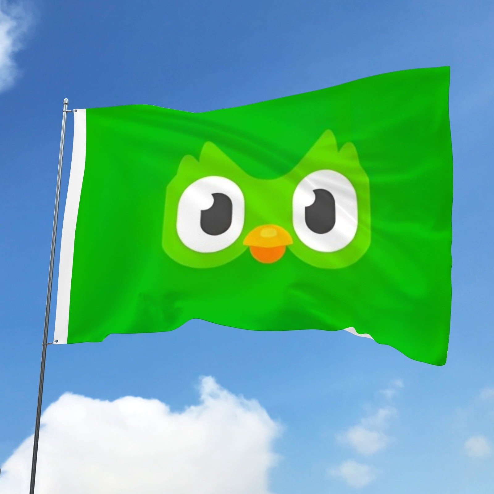 Flags for Duolingo Decorations for Home, Outside, Indoor Outdoor Flag, House Flag Party Gift Funny for Friends 3×5 FT