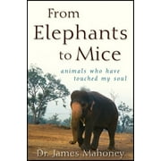 From Elephants to Mice : Animals Who Have Touched My Soul (Hardcover)