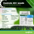 thumbnail image 2 of Recognition Herbicide. (0.45 oz) Water Dispersible Granule Weed Killer - Post Emergent Weed Control for lawns, Weed Stop for lawns, 2 of 6
