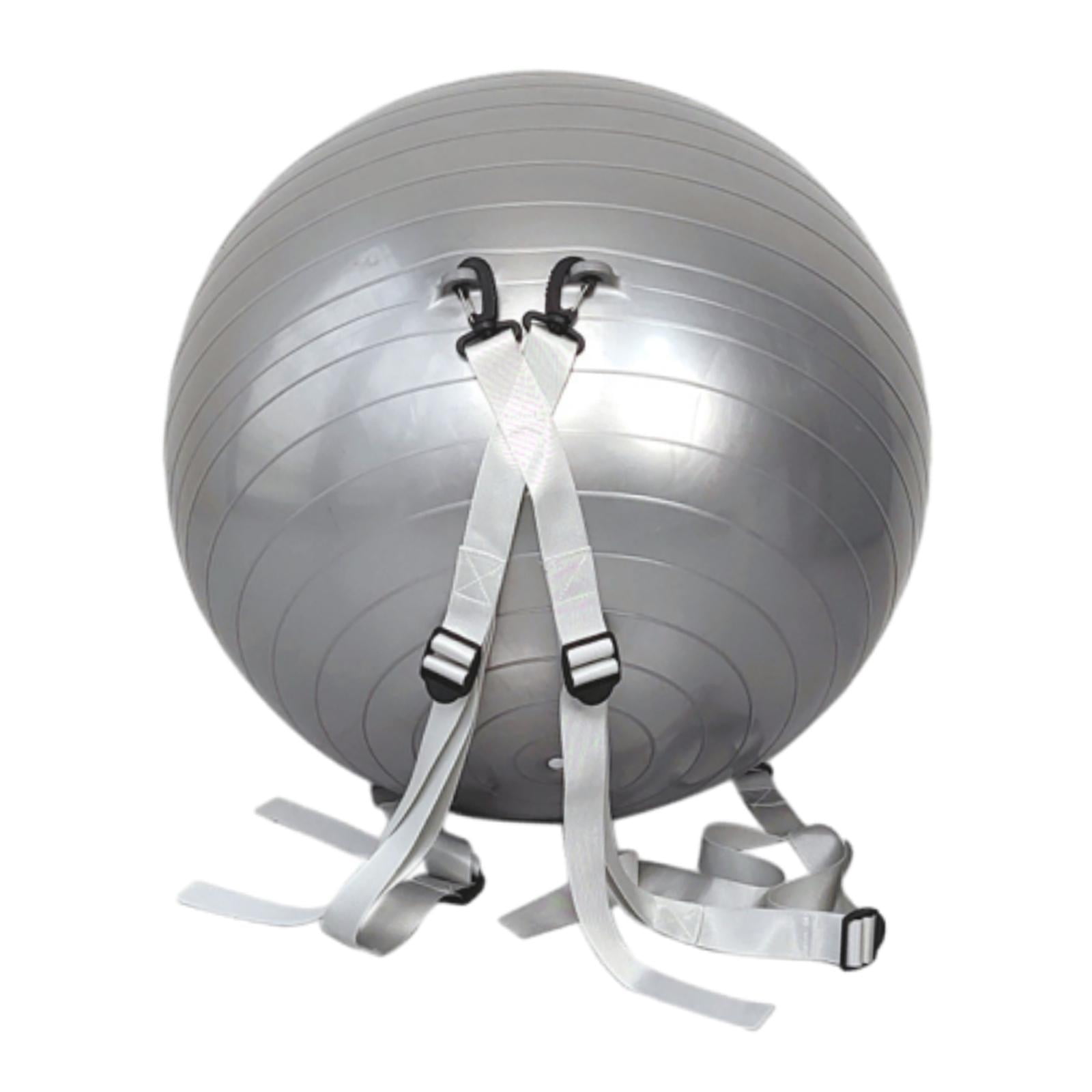 GYMNIC Physio Roll Ballon Double Idéal Pour La Physiothérapie, Les Exercices D'équilibre, La Coordination Et Le Soutien Thérapeutique