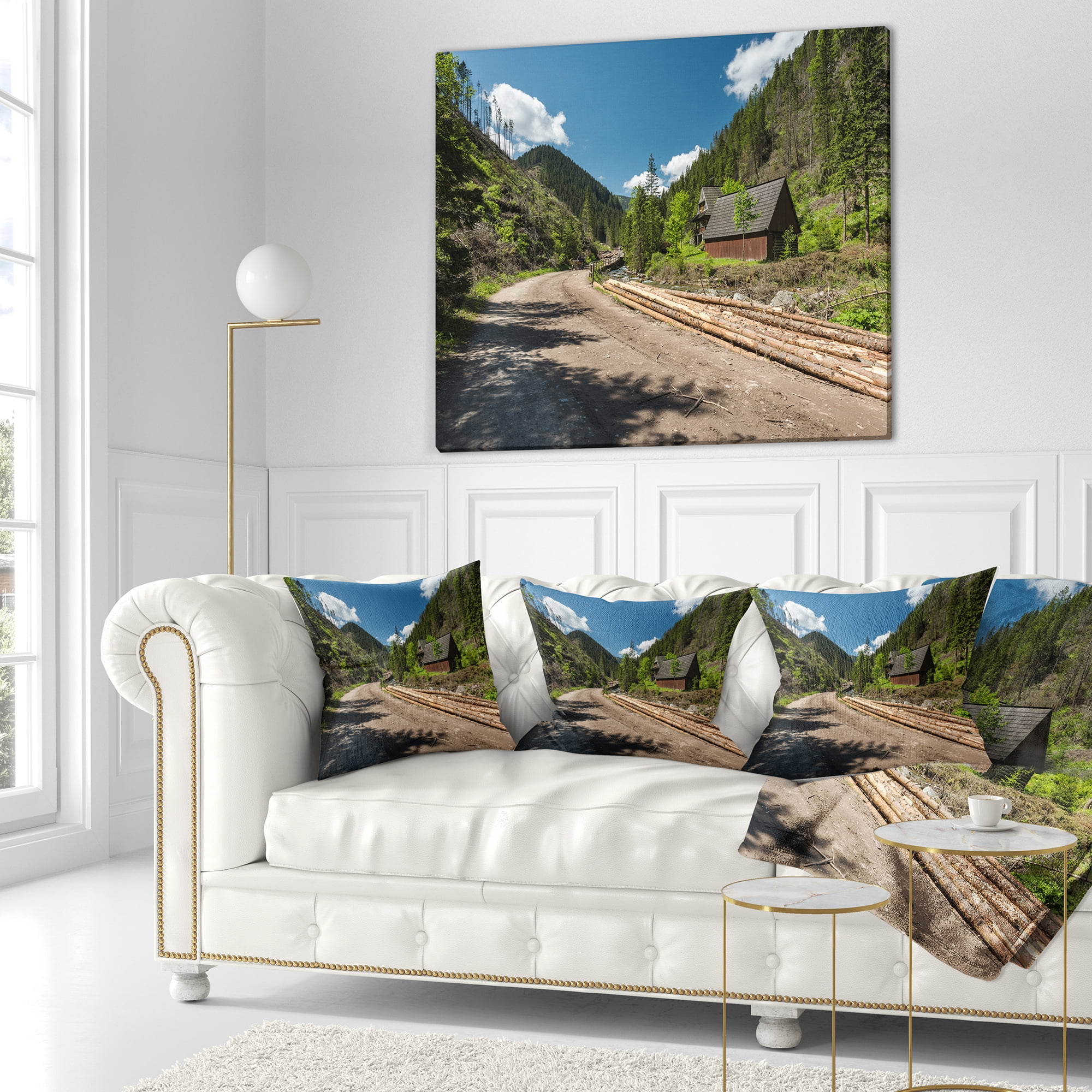 Designart Road in Chocholowska Valley - Landscape Printed Throw Pillow - 16x16