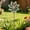 Green-Free Size/GN, variant on Iron Flower Garden Windmill Plugin Outdoor Yard Decor Metal Petal Spinner Stake Garden Ornament Balcony Courtyard Flower Bed Lawn Patio Seasonal Outdoor Decoration Gift For Home Garden Landscape