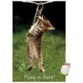 thumbnail image 1 of Célèbre chaton accroché là-bas Poster, 1 of 5
