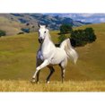 thumbnail image 1 of (NH4251) Resina Diamante Serie Animal Caballo Diamante 40*30CM, 1 of 9