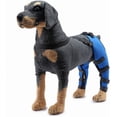 thumbnail image 1 of HSHDLDF Dog Double Hind Leg Brace Support Belt Dog Braces for Back Legs Super Supportive Dog Knee Brace for Torn Acl Hind Leg Help Dogs With Injuries Sprains Arthritis. Blue-S, 1 of 7