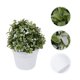 thumbnail image 4 of Simulación de pequeñas plantas en maceta, decoración realista de flores artificiales para el hogar y la oficina., 4 of 5
