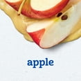 thumbnail image 4 of (8 pack) Gerber Stage 2 Baby Food, Apple Puree Tubs, Baby Puree 8 oz, 4 of 16