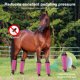 thumbnail image 3 of Botas Caballo Malla Transpirable Envolturas Protectoras para Patas Funda Protectora Contra Mosquitos Juego 4 Prevenir Las Picaduras Moscas Y en Piernas Rojo, 3 of 5