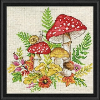 5 Sets Embroidery Starter Kit with Patterns and Instructions Mushroom Cross  Stitch Set for Beginners DIY Adult Kids Beginner Cross Stitch Set with  Mushroom Pattern Embroidery Hoops Needles Threads