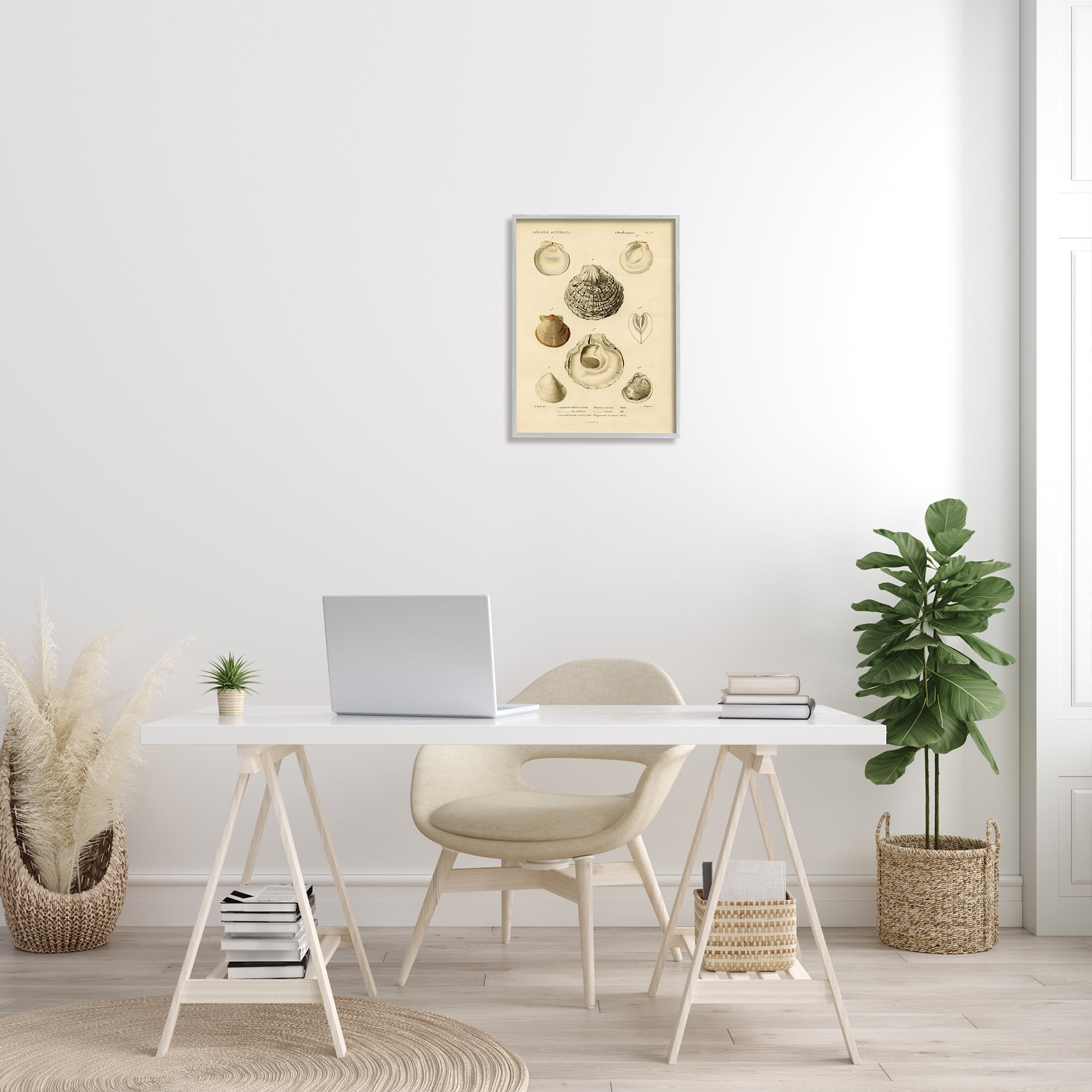Stupell Industries Vintage Sea Shell Latin Study Marine Chart, 16 x 20, Designed by Daphne Polselli