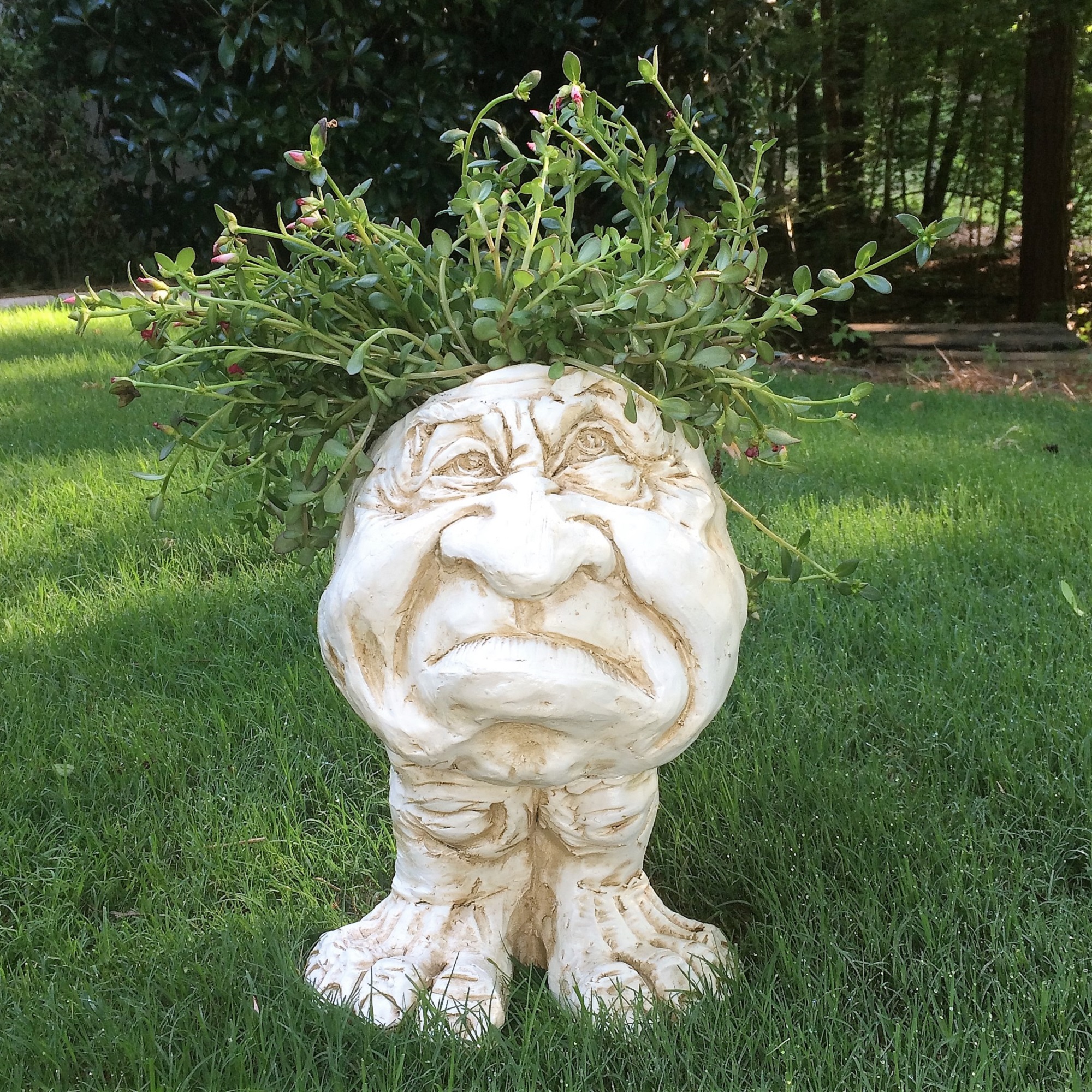 Homestyles  Antique White Grumpy the Muggly Face Humorous Statue Planter Holds 5 in. Pot