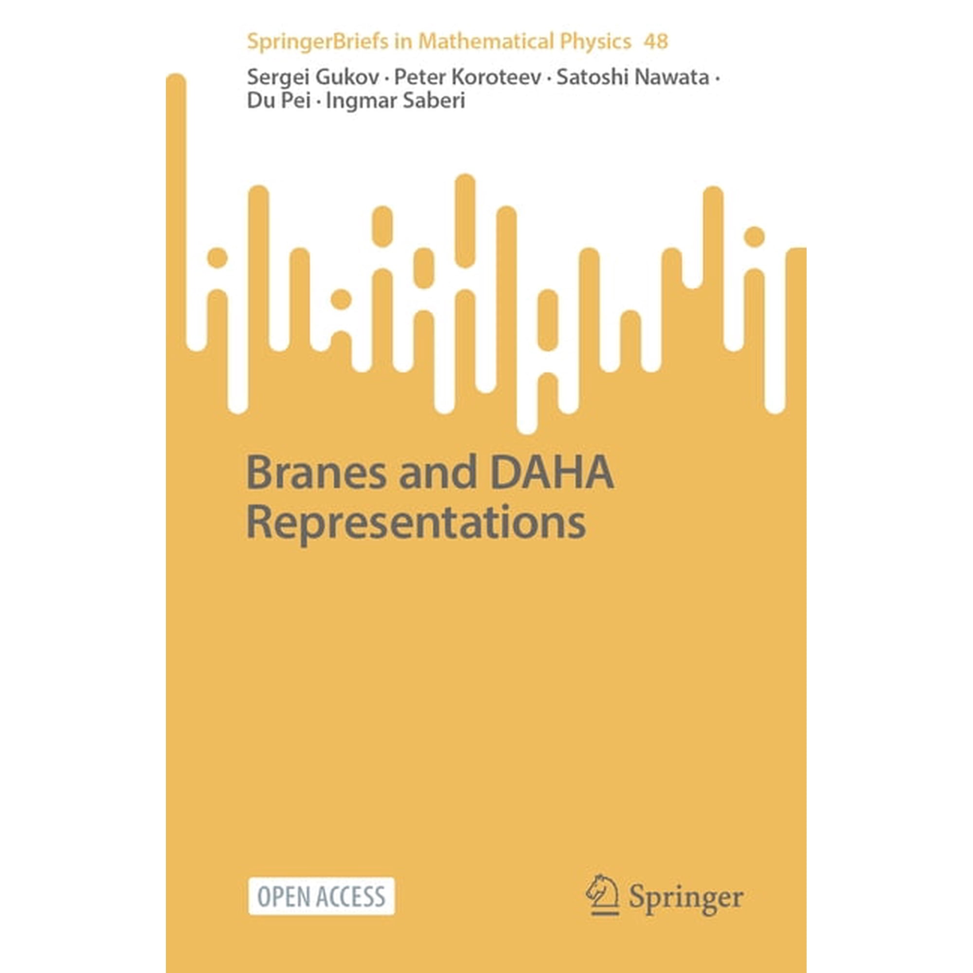 Springerbriefs in Mathematical Physics Branes and Daha Representations Book 48 (Paperback)