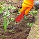 thumbnail image 3 of duradero Extractor de malezas Weeder Herramientas de deshierbe Eliminación de malezas con para patio Césped Jardín Aflojamiento rojo Sunnimix Extractor de malas hierbas, 3 of 8