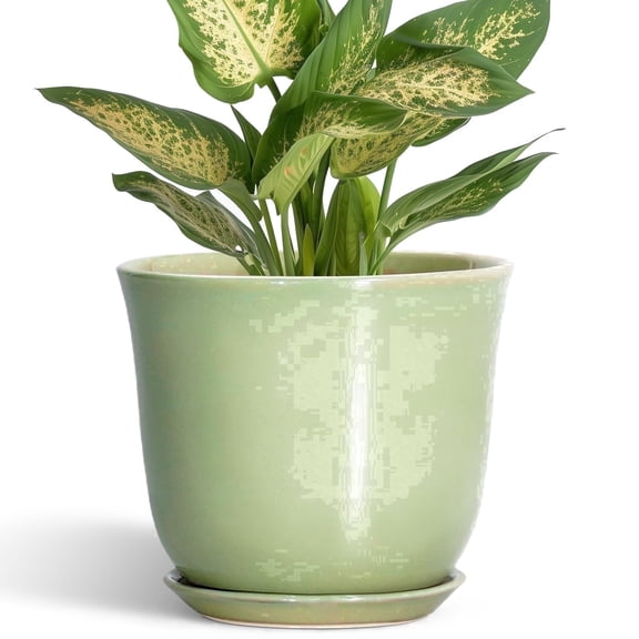 6 inch Flower Pots, Small Round Ceramic Planter with Saucer & Drainage, Decorative Pot for Indoor Plants, Gift for Women & Mom, Green