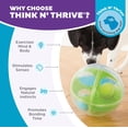 thumbnail image 4 of Rompecabezas Interactivo Outward Hound Nina Ottosson A-Maze Ball Laberinto para Perros, 4 of 8