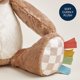 thumbnail image 4 of Peluche Itzy Ritzy Snuggles para bebés, niños y adultos (oso), 4 of 7