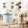 thumbnail image 2 of True HEPA 14 Replacement Filter Compatible with Puro 240 Air Purifier, 3-in-1 Filtration System Filter Replacement, HP-14 with Activated Carbon Filter, 4-Pack, 2 of 6