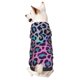 thumbnail image 1 of Balery Rainbow Animal Skin Sudadera con Capucha para Perros Pequeños – Ropa para Mascotas, Disfraz para Perros y Gatos, Ideal para Fiestas y Cosplay-Medium, 1 of 7