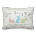 thumbnail image 2 of Creative Products Colorful Easter Bunny Trail 14x20 Spun Poly Pillow, 2 of 3