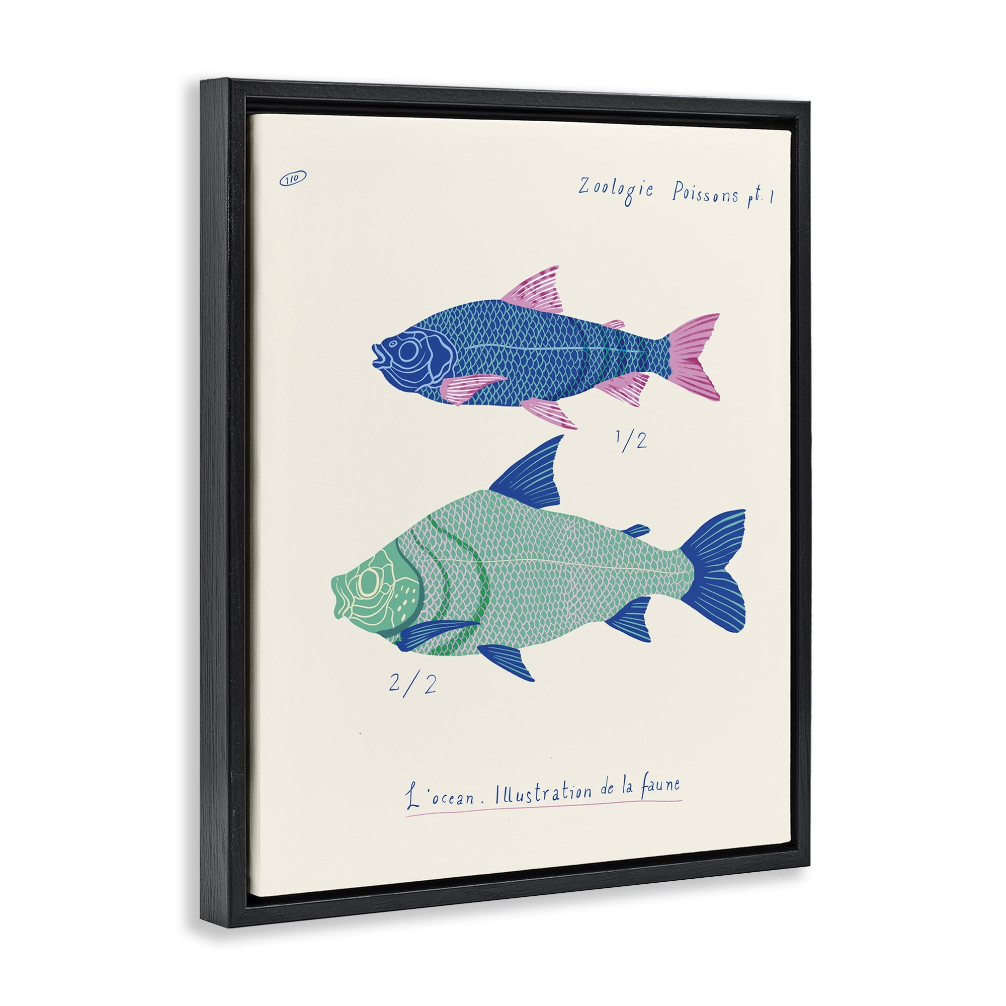 Stupell Industries Sea Fauna Studies Nautical & Beach Painting Black Floater Framed Canvas Art Print Wall Art, 17 x 21