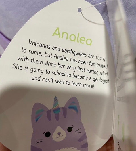 squishmallows analea the caticorn