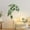 #219 White, variant on YZEGDCH Fall Decorations Fall Decorations for Home Decorations Operated Halloween Thanksgiving Indoor Porch Bedroom Wedding Decor