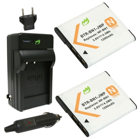 Replacement for Sony DSC-W310 Battery (2-Pack, 1200mAh) and Charger with Car Adapter