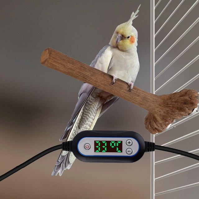 Calentador de jaula para pájaros con percha para pájaros, accesorio de jaula de resina ajustable, soporte para loros, calentador de pájaros para