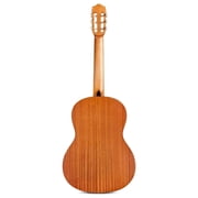 Protege C1M Nylon String Acoustic Guitar
