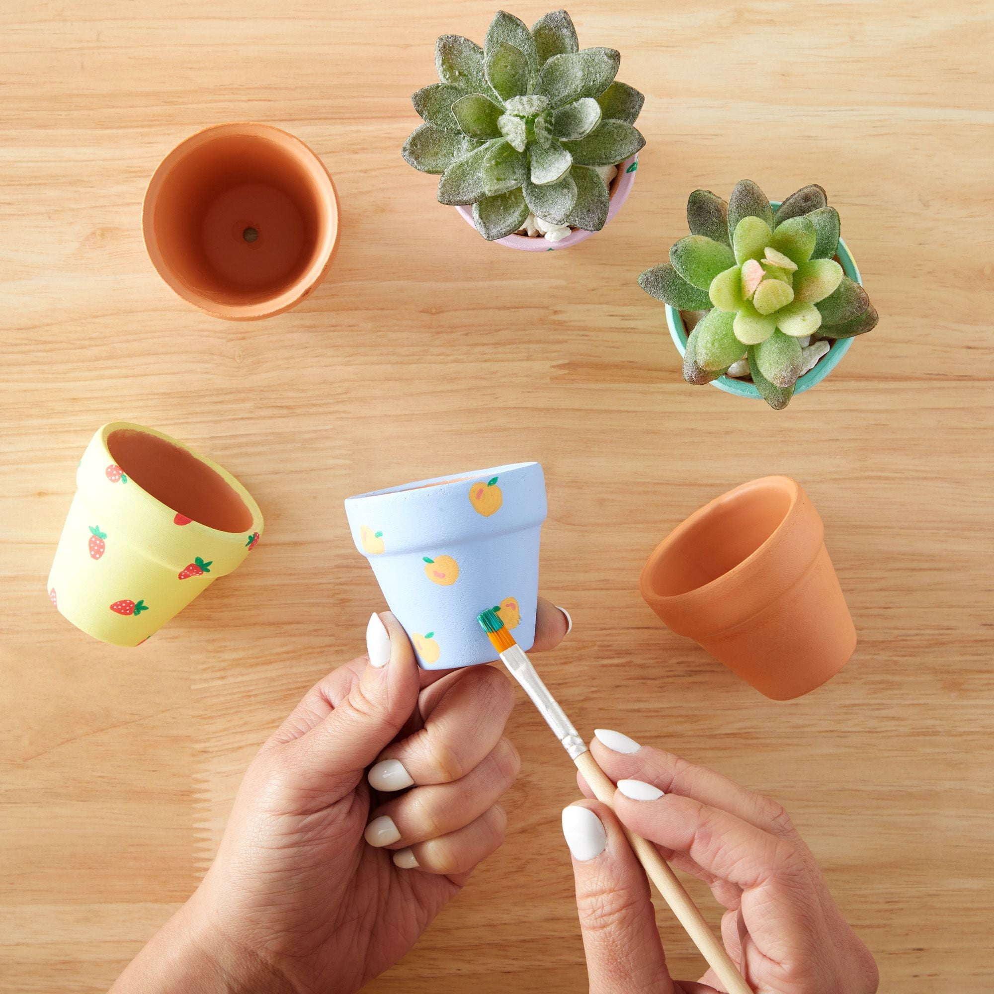 Juvale - Brandclub - 10-Pack 2-Inch Mini Terracotta Pots with Drainage  Holes for Succulents, Plants, Herbs, and Flowers, Small Clay Pot Planters  for Indoor and Outdoor Gardening, Crafts