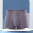 thumbnail image 4 of Mens Modal Boxer Briefs - Seamless Breathable High Elasticity Underwear Mid Waist Comfortable Home Panty Bulge Pouch Trunks Moisture Wicking, 4 of 8